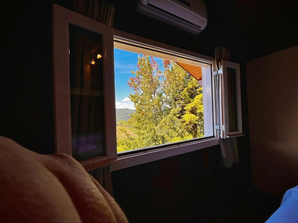 Colina De Pedra - Inn *
